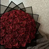 گل جاودان شاین دار