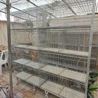 ۲دست قفس جوجه پران ۸خوان غلامی