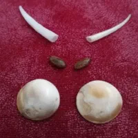 فروش مهره ها و انواع ان