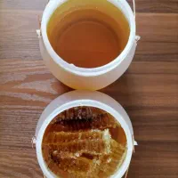 عسل وحشی