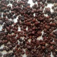 آلوچه درجه یک