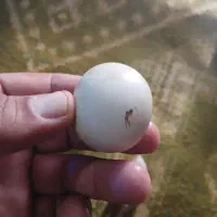 یشم.اسیاب.عقیق.اصل