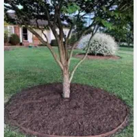 شخم زدن باغها محوطه تعویض خاک وباغبانی|خدمات باغبانی و درختکاری|شیراز, گویم|دیوار