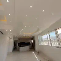 تمیزکار دائم میخایم