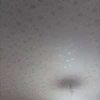 نقاشی طرح کاغذ دیواری تقی زاده|خدمات پیشه و مهارت|سلماس, |دیوار