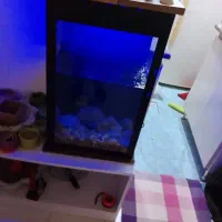 آکواریم|لوازم جانبی حیوانات|کیش, |دیوار