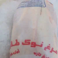 مرغ‌گرم‌تازه‌کشتارروز‌به‌قیمت‌عمده‌