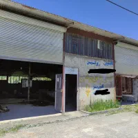 قالیشویی تخصصی پرشین خلخال(خوجین)|خدمات نظافت|خلخال, |دیوار