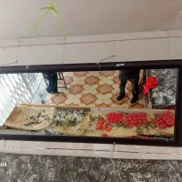 آینه|آینه|نجف‌آباد, امیرآباد|دیوار