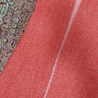 دو عدد پالتو  باهم ۵۰۰