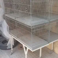 قفس پرنده