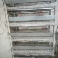 قفس بلدرچین