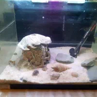 آکواریوم  شرکتی با تمام لوازم|ماهی|تهران, فلاح|دیوار