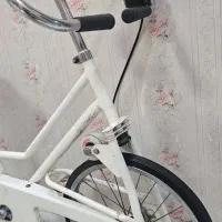 دوچرخه ورزشی