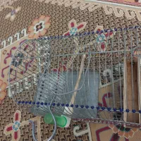 قفس سهره|لوازم جانبی حیوانات|تهران, قیام|دیوار