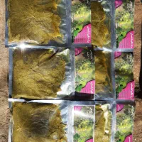 برگ مو (دلمه) لطیف و زودپخت|خوردنی و آشامیدنی|تهران, میدان میوه و تره‌بار مرکزی|دیوار