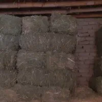 ۱۵ خروار یونجه پرس چین ۳