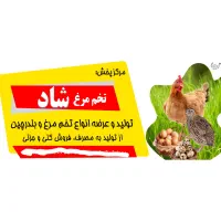 طراحی کارت ویزیت ، پوستر ، بنر|خدمات رایانهای و موبایل|گلبهار, شهر جدید گلبهار|دیوار