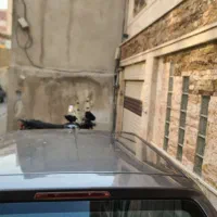 ۱۱۱خاکستری|خودرو سواری و وانت|تهران, دولاب|دیوار