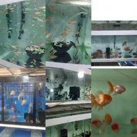 انواع ماهی و آکواریوم پمپ ابنما|ماهی|سنندج, |دیوار