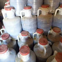 خیار شور نول