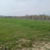 زمین باغ|فروش زمین و ملک کلنگی|کرمانشاه, |دیوار