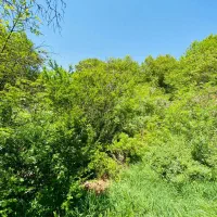 باغچه کوشک زر ....هشتگرد