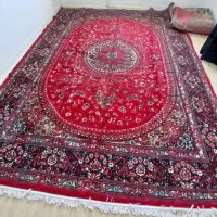 قالی|فرش|سرپل ذهاب, |دیوار
