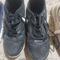 انواع کفش از سایز ۳۷ تا ۴۰|کیف، کفش، کمربند|رشت, دباغیان|دیوار