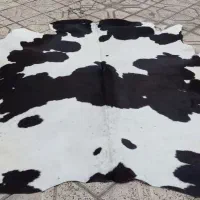 پ وست دباغی شده گاو