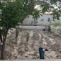 560متر زیر قیمت روران کروه