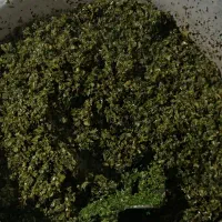 سبزی|خوردنی و آشامیدنی|کرمانشاه, |دیوار