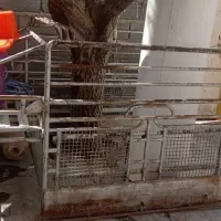 بازبند مزدا دو کابین بهمراه چادر