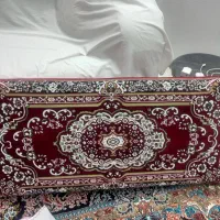 یک جفت پشتی تمیزکم کارکرددرحدنو