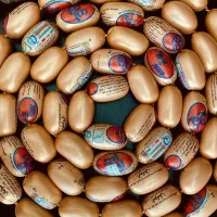 محصولات پروتئینی صالحی