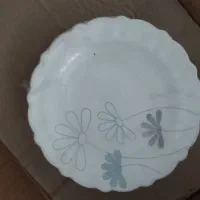 سرویس غذاخوری و چمدان نصف قیمت پلمپ