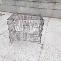 قفس جا قناری