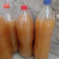 آبغوره مال امسال