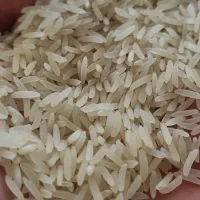 برنج فجر شمال  ارسال از گرگان  قیمت عمده|خوردنی و آشامیدنی|تهران, میدان ولیعصر|دیوار