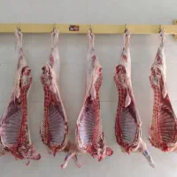 ( گوشت گوسفندی مجیدی )