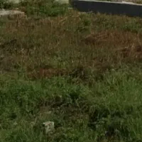 زمین-تجاری-400متر-بهرجاده