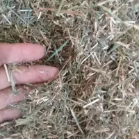 یونجه خوردشده