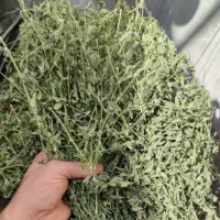 یونجه خشک