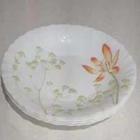 ظروف ارکوپال