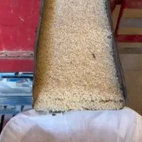 برنج تازه شرطی|خوردنی و آشامیدنی|شوش, |دیوار