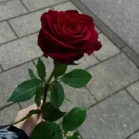 داوطلبانه