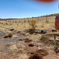 زمین ۳۵۰۰متر اراضی سیوان|فروش دفتر صنعتی، کشاورزی، تجاری|مرند, |دیوار