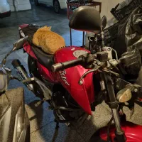 معاوضه متور پالس ۱۸۰ یوجیفور با گوشی و اقساط|موتورسیکلت|تهران, پاسداران|دیوار