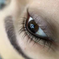 جذب مدل به صورت محدود برای تکنیک های ارایش دائم