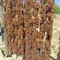 کشمش اشغاری